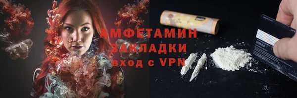 гидра Долгопрудный