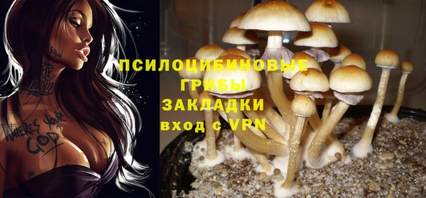 гашик Абинск